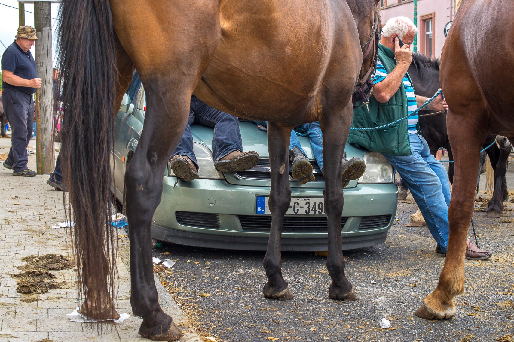 Cahirmee Horse Fair