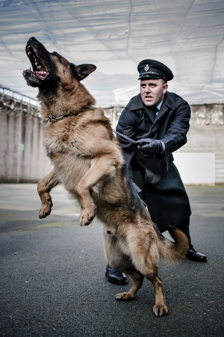 Stuntman with Dog